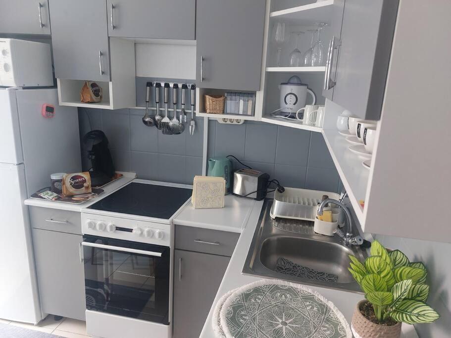Dora Apartman Best Location & Free Parking Debreczyn Zewnętrze zdjęcie